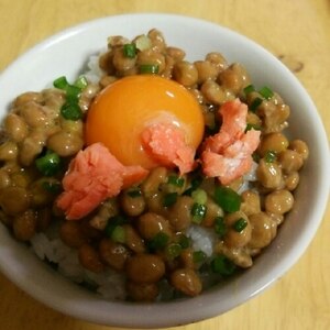 納豆の食べ方-生玉子＆鮭♪